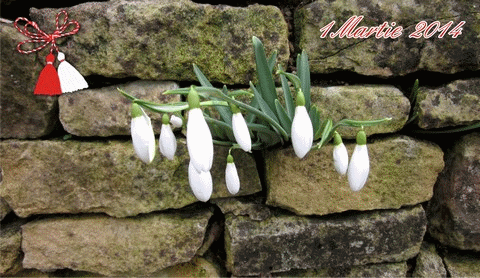 Felicitare SFetnicul